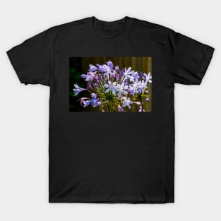 Agapanthus close-up T-Shirt